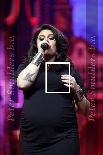 Amsterdam 14 april 2018
Heel holland zingt Hazes in het ziggo dome met oa Andre Hazes Jr Jeroen v d Boom Xander de Buisonje Roxeanne Hazes (zwanger) Peter Beense Trijntje Oosterhuis Danny de Munk Silver Metz en Barry Hay.
