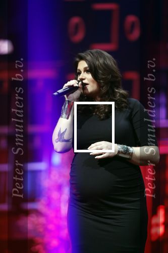 Amsterdam 14 april 2018
Heel holland zingt Hazes in het ziggo dome met oa Andre Hazes Jr Jeroen v d Boom Xander de Buisonje Roxeanne Hazes (zwanger) Peter Beense Trijntje Oosterhuis Danny de Munk Silver Metz en Barry Hay.
