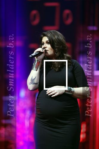 Amsterdam 14 april 2018
Heel holland zingt Hazes in het ziggo dome met oa Andre Hazes Jr Jeroen v d Boom Xander de Buisonje Roxeanne Hazes (zwanger) Peter Beense Trijntje Oosterhuis Danny de Munk Silver Metz en Barry Hay.