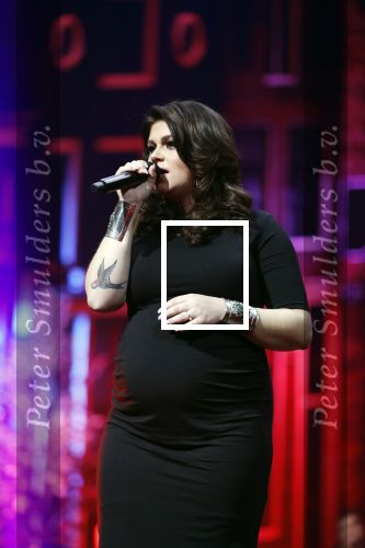 Amsterdam 14 april 2018
Heel holland zingt Hazes in het ziggo dome met oa Andre Hazes Jr Jeroen v d Boom Xander de Buisonje Roxeanne Hazes (zwanger) Peter Beense Trijntje Oosterhuis Danny de Munk Silver Metz en Barry Hay.