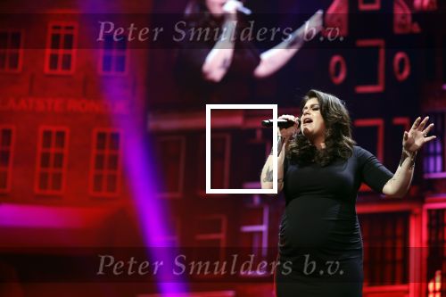 Amsterdam 14 april 2018
Heel holland zingt Hazes in het ziggo dome met oa Andre Hazes Jr Jeroen v d Boom Xander de Buisonje Roxeanne Hazes (zwanger) Peter Beense Trijntje Oosterhuis Danny de Munk Silver Metz en Barry Hay.