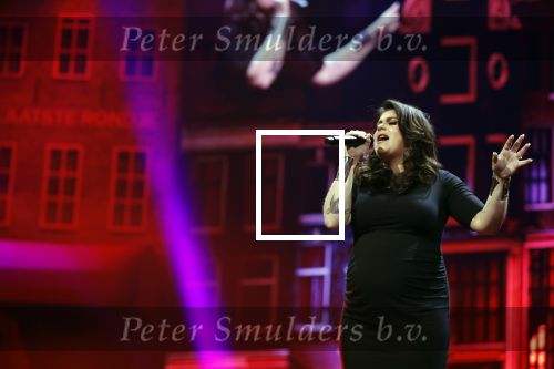 Amsterdam 14 april 2018
Heel holland zingt Hazes in het ziggo dome met oa Andre Hazes Jr Jeroen v d Boom Xander de Buisonje Roxeanne Hazes (zwanger) Peter Beense Trijntje Oosterhuis Danny de Munk Silver Metz en Barry Hay.