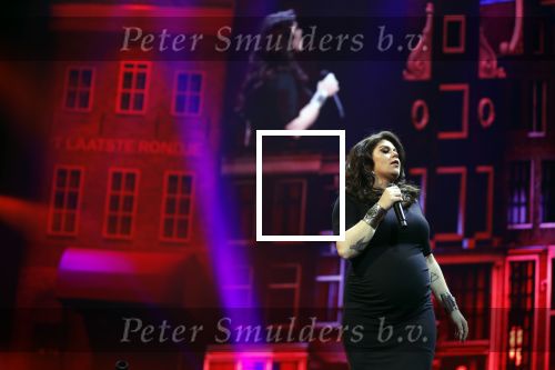 Amsterdam 14 april 2018
Heel holland zingt Hazes in het ziggo dome met oa Andre Hazes Jr Jeroen v d Boom Xander de Buisonje Roxeanne Hazes (zwanger) Peter Beense Trijntje Oosterhuis Danny de Munk Silver Metz en Barry Hay.