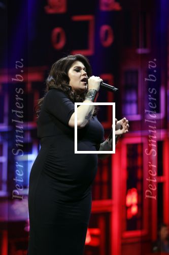 Amsterdam 14 april 2018
Heel holland zingt Hazes in het ziggo dome met oa Andre Hazes Jr Jeroen v d Boom Xander de Buisonje Roxeanne Hazes (zwanger) Peter Beense Trijntje Oosterhuis Danny de Munk Silver Metz en Barry Hay.