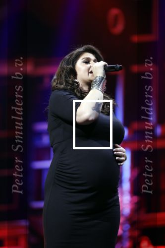 Amsterdam 14 april 2018
Heel holland zingt Hazes in het ziggo dome met oa Andre Hazes Jr Jeroen v d Boom Xander de Buisonje Roxeanne Hazes (zwanger) Peter Beense Trijntje Oosterhuis Danny de Munk Silver Metz en Barry Hay.