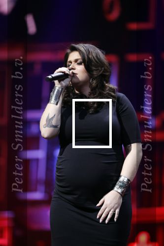 Amsterdam 14 april 2018
Heel holland zingt Hazes in het ziggo dome met oa Andre Hazes Jr Jeroen v d Boom Xander de Buisonje Roxeanne Hazes (zwanger) Peter Beense Trijntje Oosterhuis Danny de Munk Silver Metz en Barry Hay.