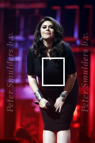 Amsterdam 14 april 2018
Heel holland zingt Hazes in het ziggo dome met oa Andre Hazes Jr Jeroen v d Boom Xander de Buisonje Roxeanne Hazes (zwanger) Peter Beense Trijntje Oosterhuis Danny de Munk Silver Metz en Barry Hay.