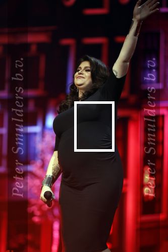 Amsterdam 14 april 2018
Heel holland zingt Hazes in het ziggo dome met oa Andre Hazes Jr Jeroen v d Boom Xander de Buisonje Roxeanne Hazes (zwanger) Peter Beense Trijntje Oosterhuis Danny de Munk Silver Metz en Barry Hay.
