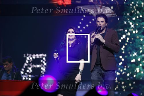 Amsterdam 14 april 2018
Heel holland zingt Hazes in het ziggo dome met oa Andre Hazes Jr Jeroen v d Boom Xander de Buisonje Roxeanne Hazes (zwanger) Peter Beense Trijntje Oosterhuis Danny de Munk Silver Metz en Barry Hay.