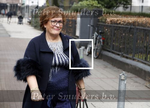 Hamburg 13 april 2018
Sylvie Meis viert haar 40e verjaardag oa met haar vader en moeder en haar broer Daniel. Ze gingen smiddags lunchen in Restaurant Daniel en s avonds was het feest in hotel Radisson Blue in Hamburg. Medium Sarina Bruens