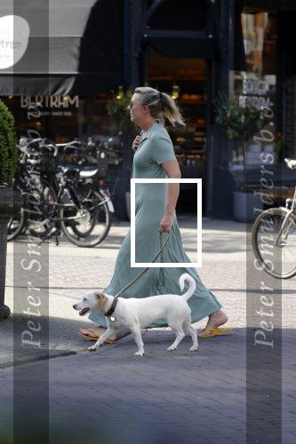 Amsterdam 19 april 2018
Saskia Noort met hondje op straat in Amsterdam zuid