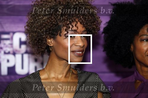 Amsterdam 16 april 2018
Premiere the color purple in de NDSM loods. Sylvana Simons kwam met een vriendin
