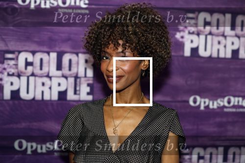 Amsterdam 16 april 2018
Premiere the color purple in de NDSM loods. Sylvana Simons kwam met een vriendin