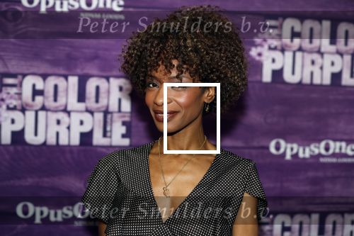 Amsterdam 16 april 2018
Premiere the color purple in de NDSM loods. Sylvana Simons kwam met een vriendin