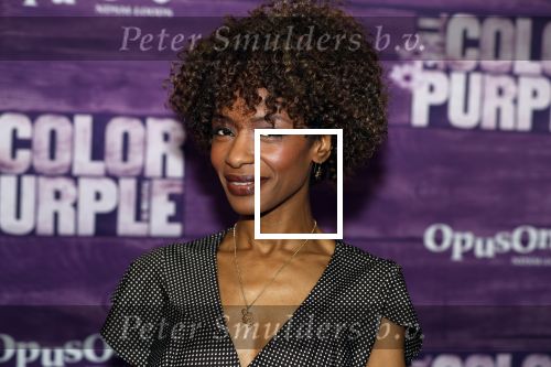 Amsterdam 16 april 2018
Premiere the color purple in de NDSM loods. Sylvana Simons kwam met een vriendin