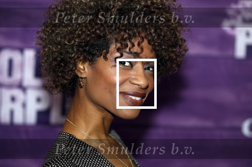 Amsterdam 16 april 2018
Premiere the color purple in de NDSM loods. Sylvana Simons kwam met een vriendin