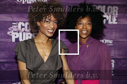 Amsterdam 16 april 2018
Premiere the color purple in de NDSM loods. Sylvana Simons kwam met een vriendin