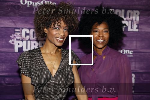 Amsterdam 16 april 2018
Premiere the color purple in de NDSM loods. Sylvana Simons kwam met een vriendin