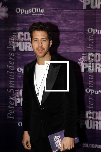 Amsterdam 16 april 2018
Premiere the color purple in de NDSM loods. William Spaaij kwam met een vriend