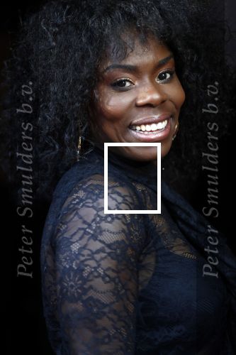 Amsterdam 7 mei 2018 
25 jaar Boom chicago in boom chicago theater. imanuelle Grives