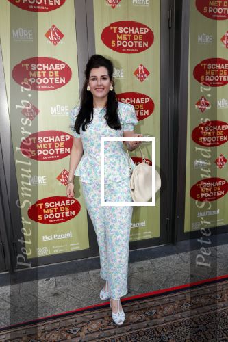 Amsterdam 14 april 2019
Premiere van t schaep met de 5 poten in het deLamar theater.
Anne-Marie Jung en Tina de Bruin