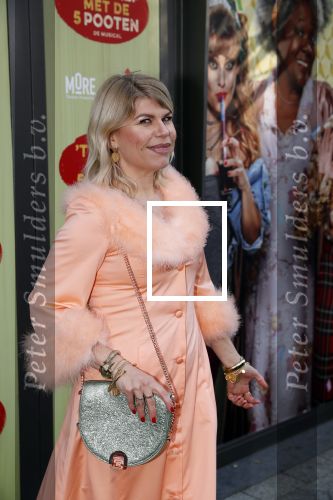 Amsterdam 14 april 2019
Premiere van t schaep met de 5 poten in het deLamar theater.
Anne-Marie Jung en Tina de Bruin