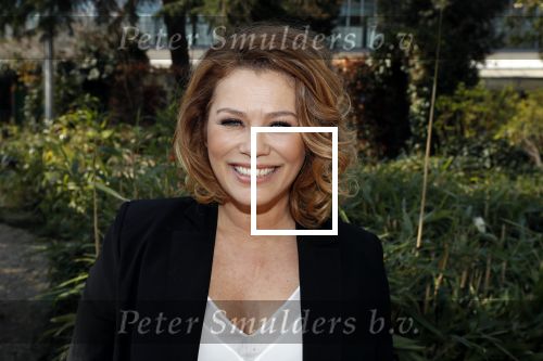 Amsterdam 8 april 2019
Strong women award in het Apollo Hotel.
Antje Monteiro