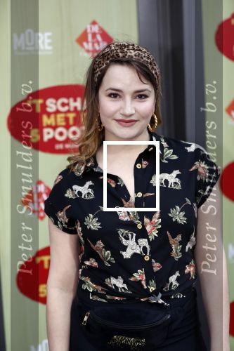 Amsterdam 14 april 2019
Premiere van t schaep met de 5 poten in het deLamar theater. Barbara Sloesen