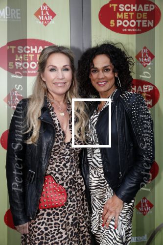 Amsterdam 14 april 2019
Premiere van t schaep met de 5 poten in het deLamar theater. Tanja Jess en Chimene van Oosterhout
