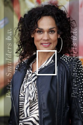 Amsterdam 14 april 2019
Premiere van t schaep met de 5 poten in het deLamar theater. Chimene v Oosterhout