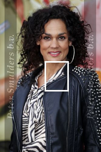 Amsterdam 14 april 2019
Premiere van t schaep met de 5 poten in het deLamar theater. Chimene v Oosterhout