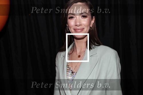 Amsterdam 8 april 2019
Strong women award in het Apollo Hotel. Dewi Pechler
