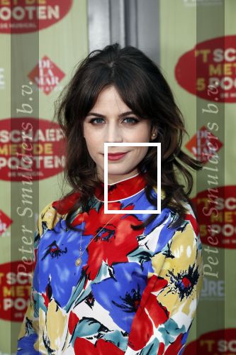 Amsterdam 14 april 2019
Premiere van t schaep met de 5 poten in het deLamar theater. Elise Schaap en partner Wouter de Jong