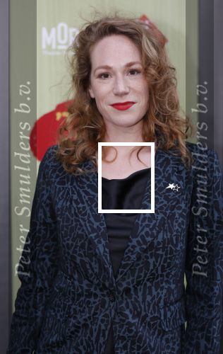 Amsterdam 14 april 2019
Premiere van t schaep met de 5 poten in het deLamar theater. Hanne Arendzen