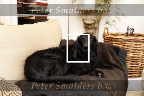 Den Haag 4 april 2019
Frank en Rogier van het SBS6 programma paleis voor en prikkie in hun eigen huis.