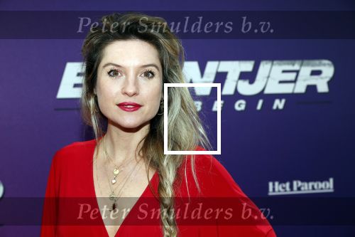 Amsterdam 15 april 2019
Premiere Baantjer in het nieuwe deLamar theater. Lauren Verster