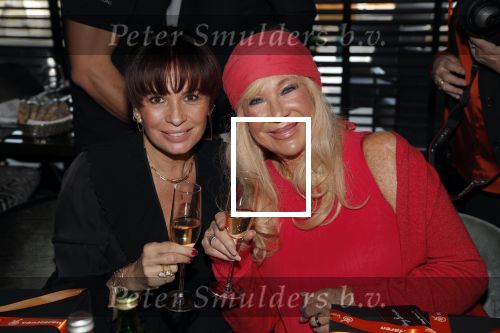 Amsterdam 8 april 2019
Strong women award in het Apollo Hotel.