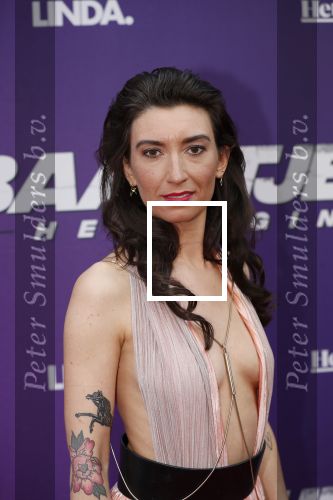Amsterdam 15 april 2019
Premiere Baantjer in het nieuwe deLamar theater. Linda Lugtenborg