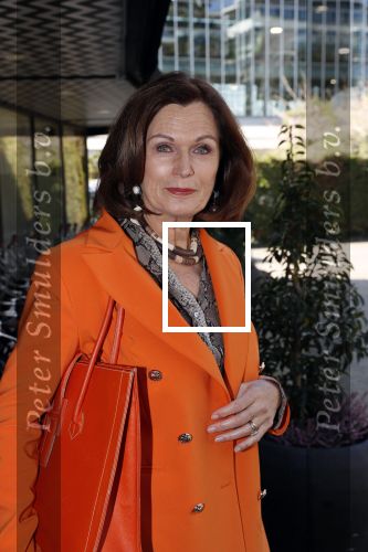Amsterdam 8 april 2019
Strong women award in het Apollo Hotel.
Liz Snoijink