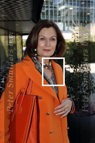 Amsterdam 8 april 2019
Strong women award in het Apollo Hotel.
Liz Snoijink