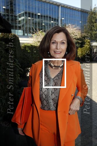 Amsterdam 8 april 2019
Strong women award in het Apollo Hotel.
Liz Snoijink