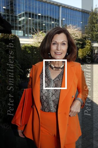 Amsterdam 8 april 2019
Strong women award in het Apollo Hotel.
Liz Snoijink