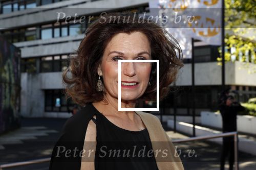 Hilversum 20 mei 2019
Coiffure awards in studio 21. Liz Snoijink