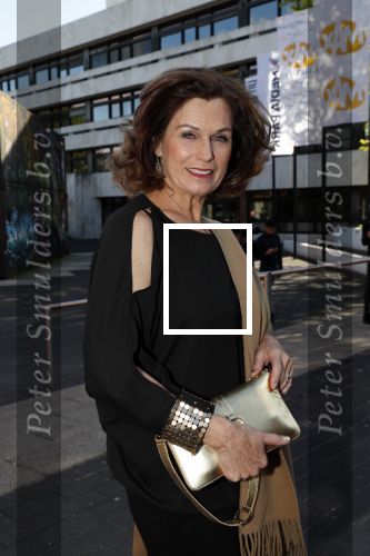 Hilversum 20 mei 2019
Coiffure awards in studio 21. Liz Snoijink