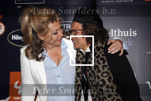 Amsterdam 8 april 2019
Strong women award in het Apollo Hotel. Lucia Rijker win strong women award