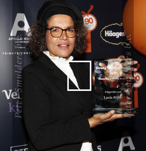 Amsterdam 8 april 2019
Strong women award in het Apollo Hotel. Lucia Rijker win strong women award