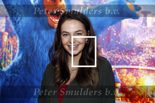 Amsterdam 7 april 2019
Premiere wonderpark in pathe arena. Margot Hanekamp zwanger