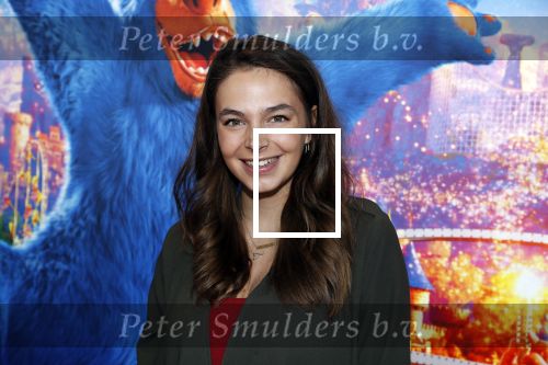 Amsterdam 7 april 2019
Premiere wonderpark in pathe arena. Margot Hanekamp zwanger