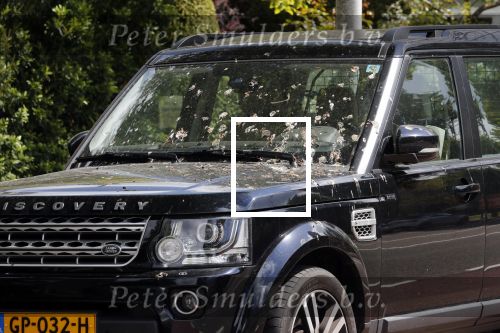 Amsterdam 5 mei 2019
De auto van Martijn Krabbe is helemaal onder gepoept door de vogels