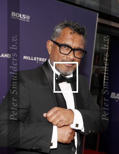 Amsterdam 15 april 2019
Premiere Baantjer in het nieuwe deLamar theater. Martin Schwab